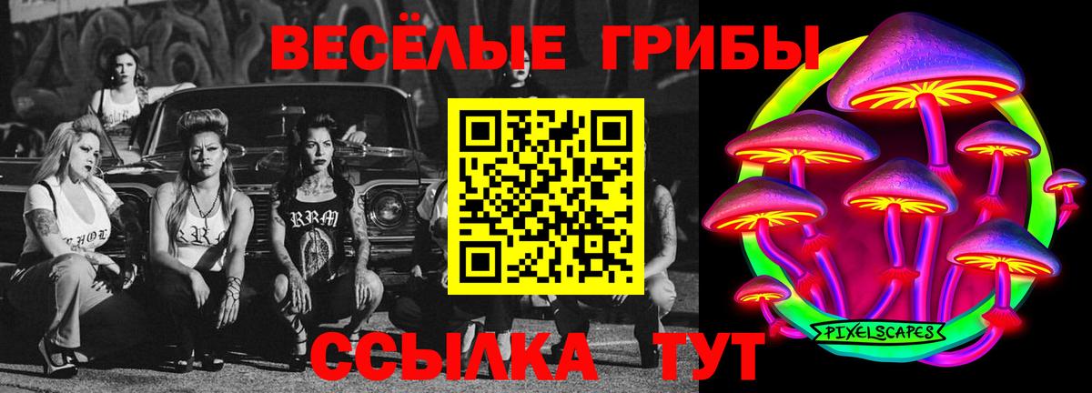 Псилоцибиновые грибы мухоморы Шелехов